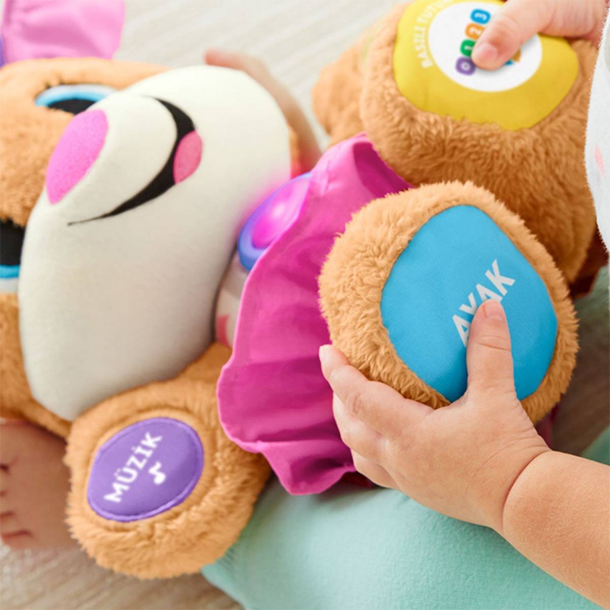 Fisher-Price Eğitici Köpekçiğin Kız Kardeşi