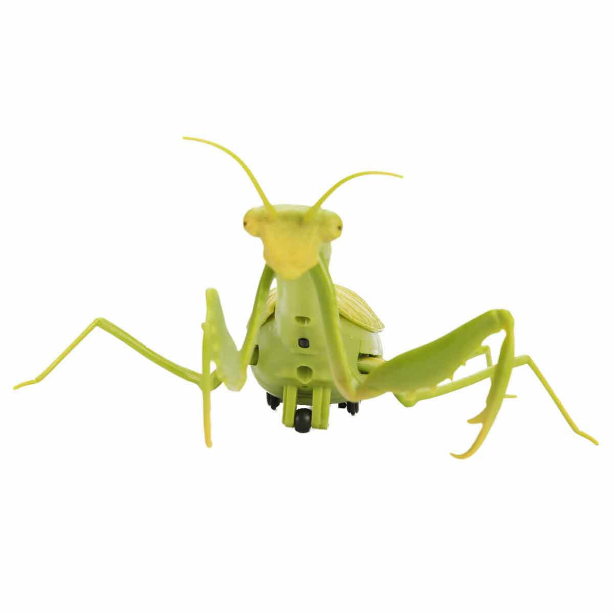 Crazoo Işıklı Uzaktan Kumandalı Peygamber Devesi | 19.5 cm İnteraktif RC Böcek | Demo Modlu ve Işıklı Eğitici Oyuncak