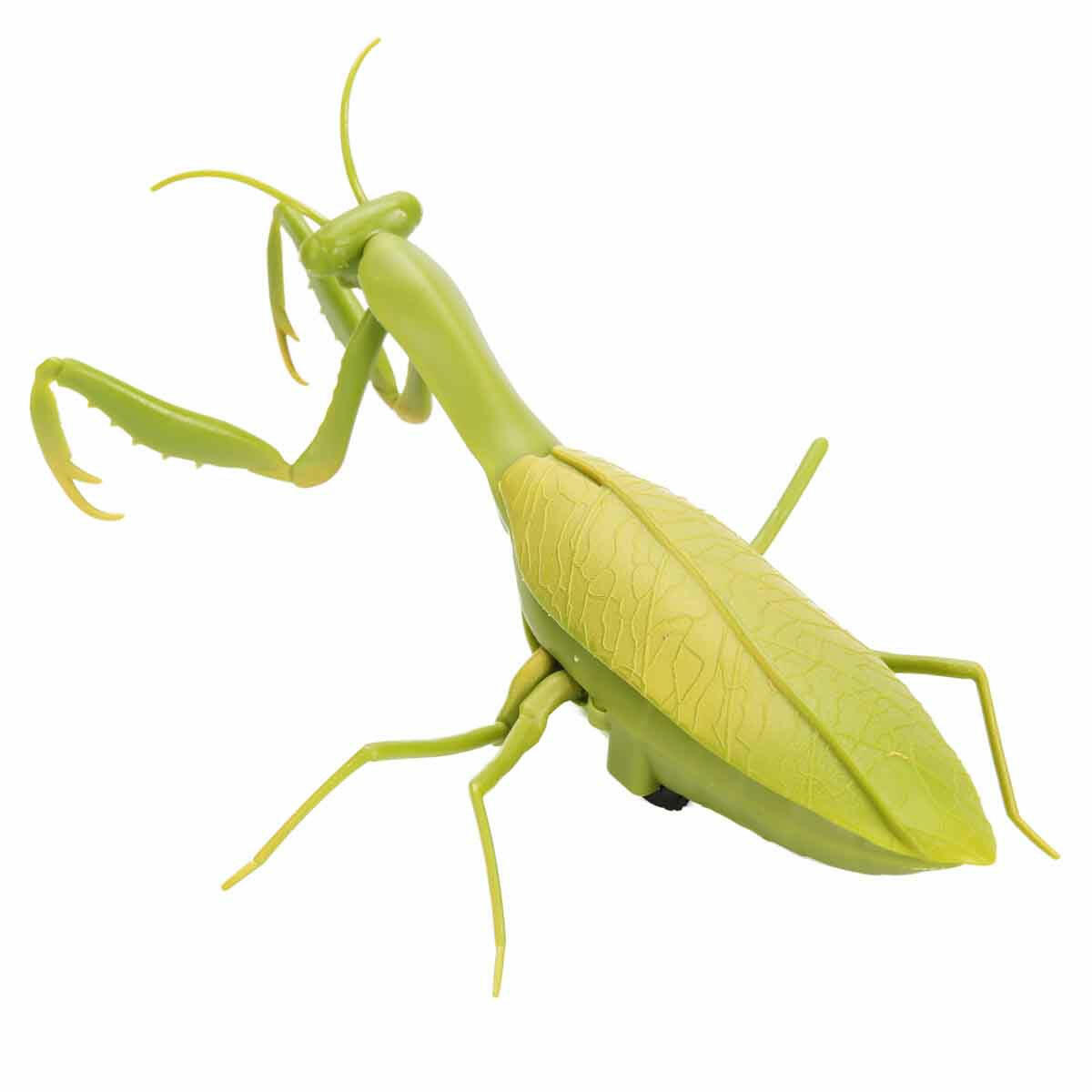 Crazoo Işıklı Uzaktan Kumandalı Peygamber Devesi | 19.5 cm İnteraktif RC Böcek | Demo Modlu ve Işıklı Eğitici Oyuncak