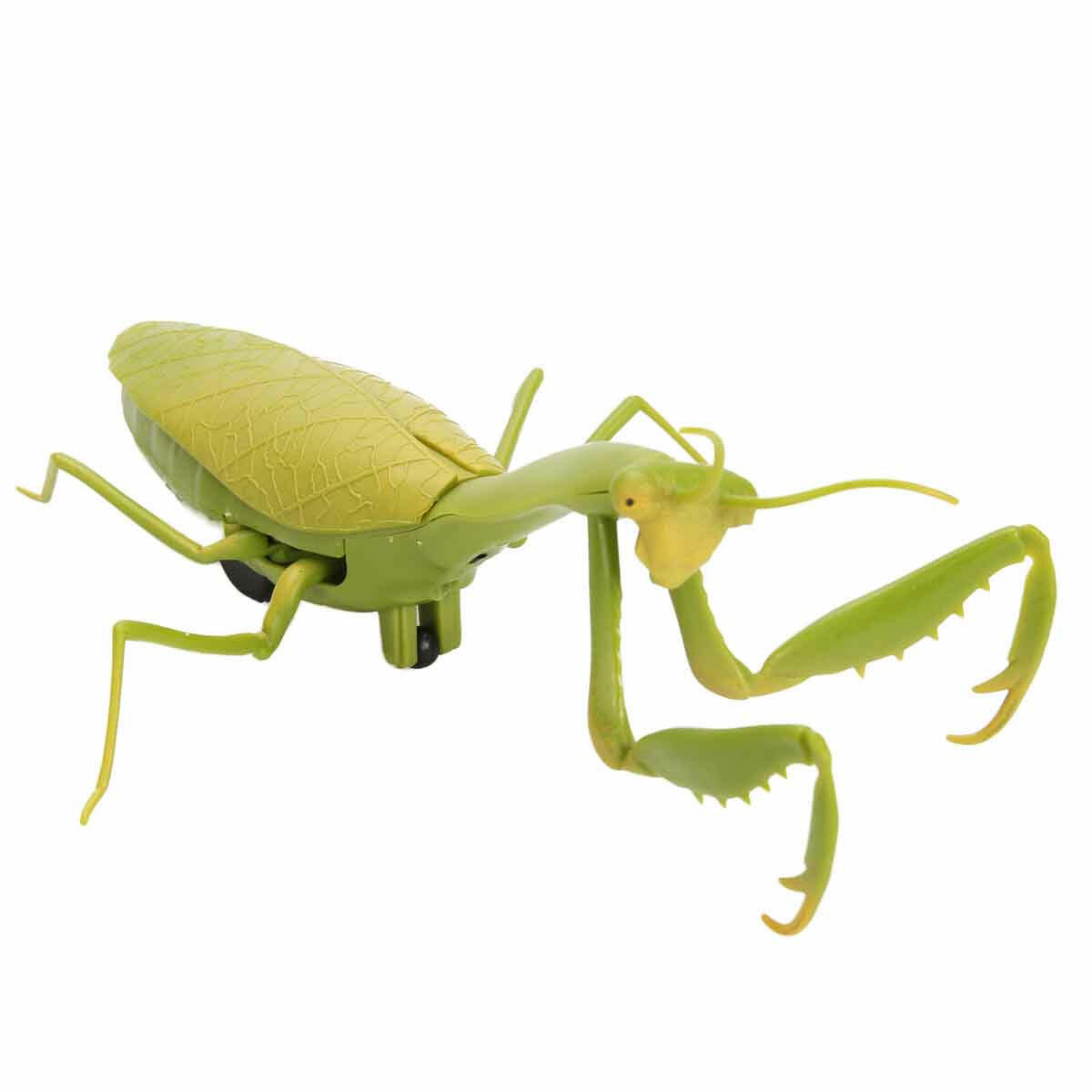 Crazoo Işıklı Uzaktan Kumandalı Peygamber Devesi | 19.5 cm İnteraktif RC Böcek | Demo Modlu ve Işıklı Eğitici Oyuncak