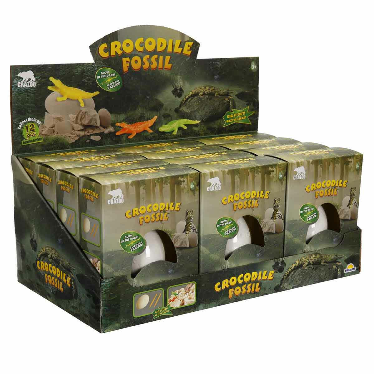 Fosil Kazı Seti: Karanlıkta Parlayan Timsah | Crazoo Eğitici Arkeoloji ve Bilim Seti | Çocuklar İçin Sürprizli ve Işıldayan Kazı Deneyimi
