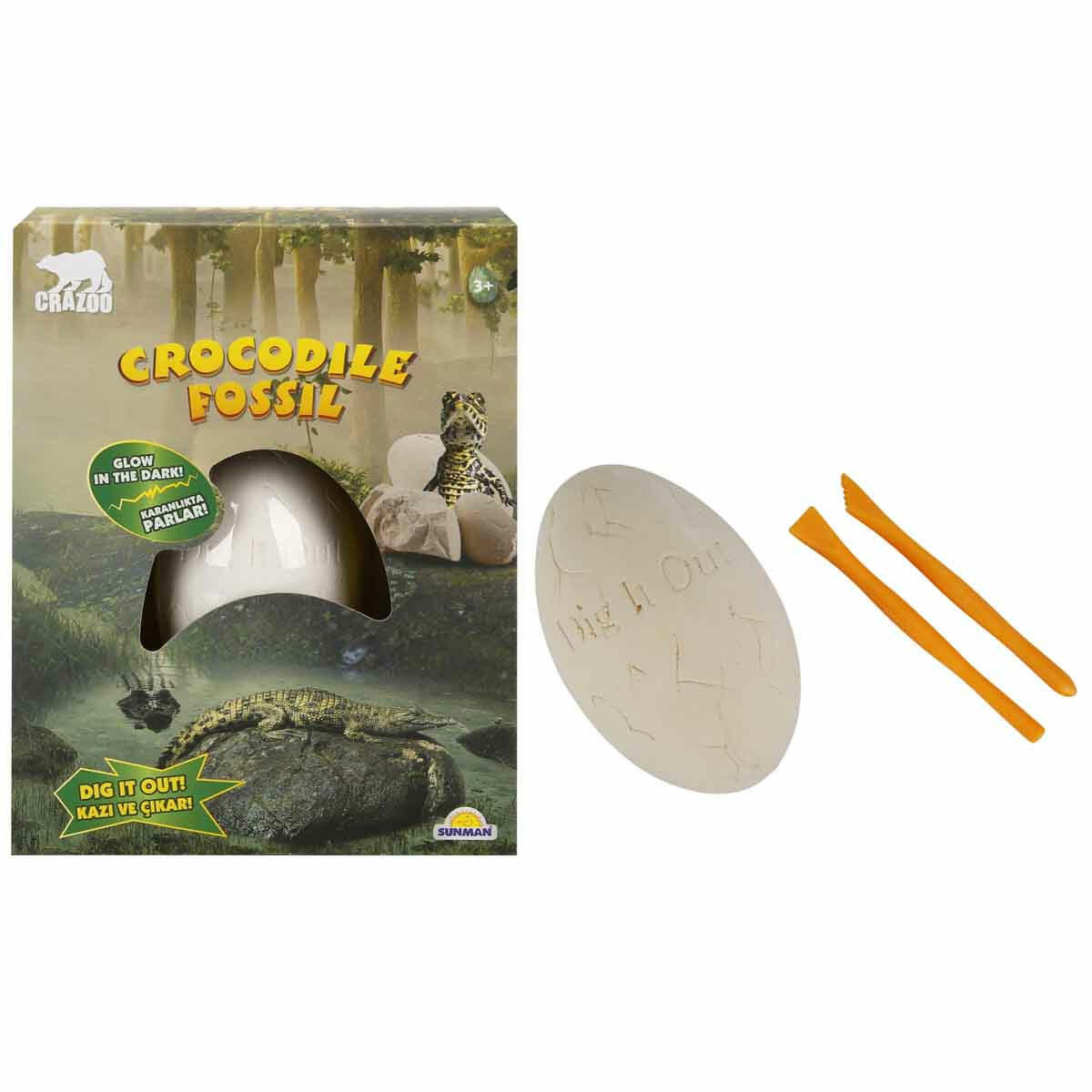 Fosil Kazı Seti: Karanlıkta Parlayan Timsah | Crazoo Eğitici Arkeoloji ve Bilim Seti | Çocuklar İçin Sürprizli ve Işıldayan Kazı Deneyimi
