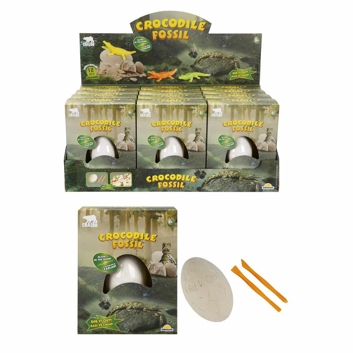 Fosil Kazı Seti: Karanlıkta Parlayan Timsah | Crazoo Eğitici Arkeoloji ve Bilim Seti | Çocuklar İçin Sürprizli ve Işıldayan Kazı Deneyimi