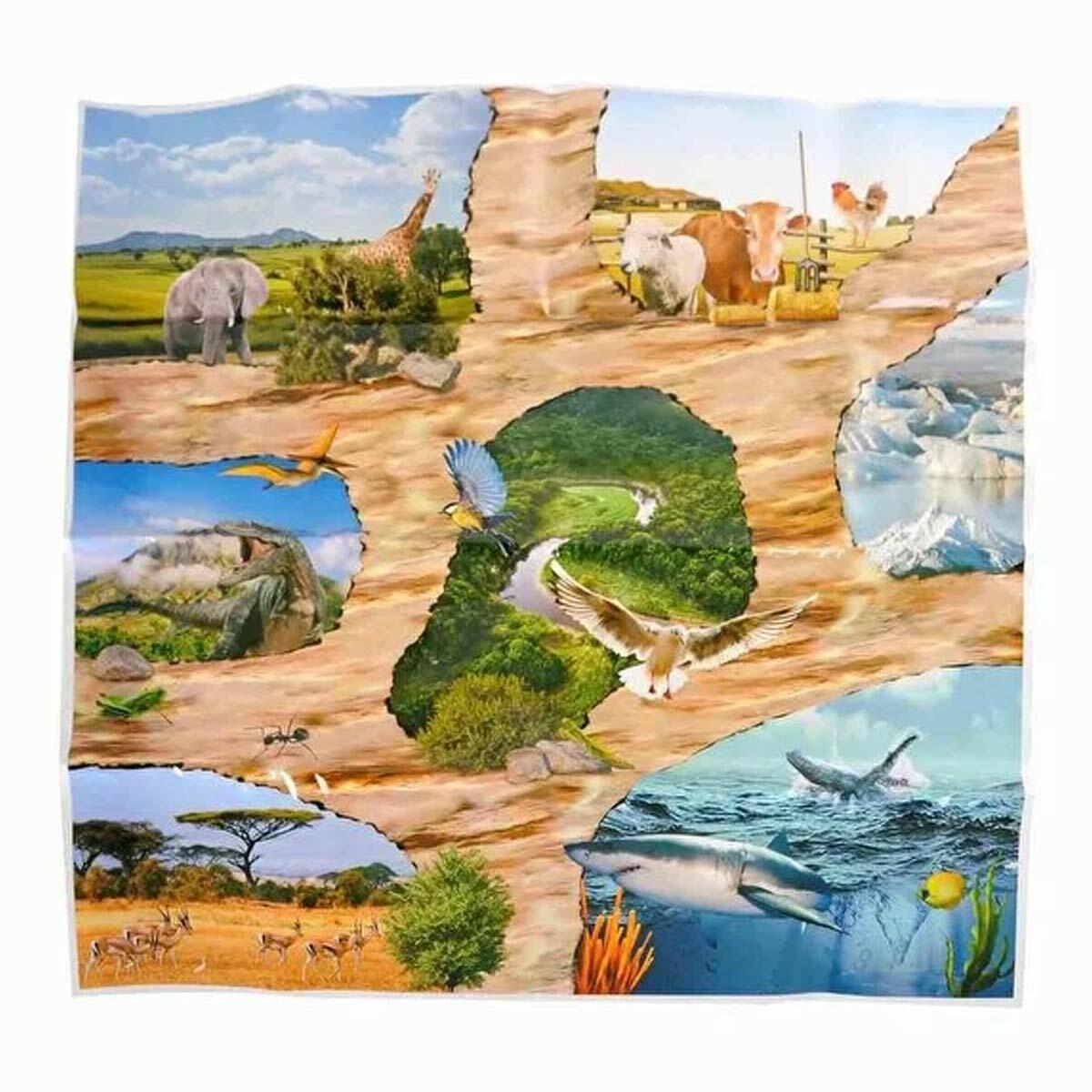 Hayvanlar Alemi Plastik Figür Kuş Oyuncak Ve Matı Seti | 13 Parça Eğitici Set | Feyza Oyuncak Kanatlı Dostlar Serisi