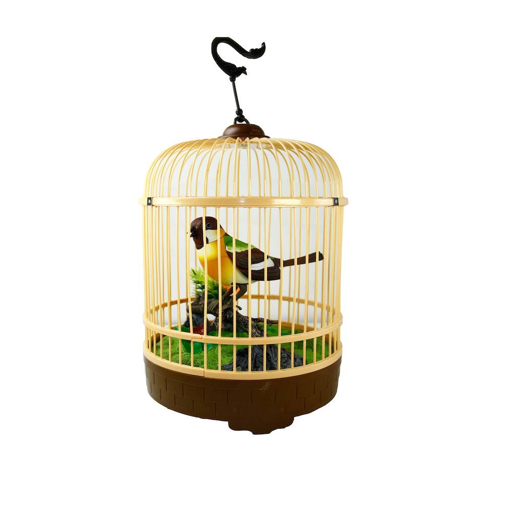 Kafesli Büyük Kuş (Müzik Ve Kuş Sesli)