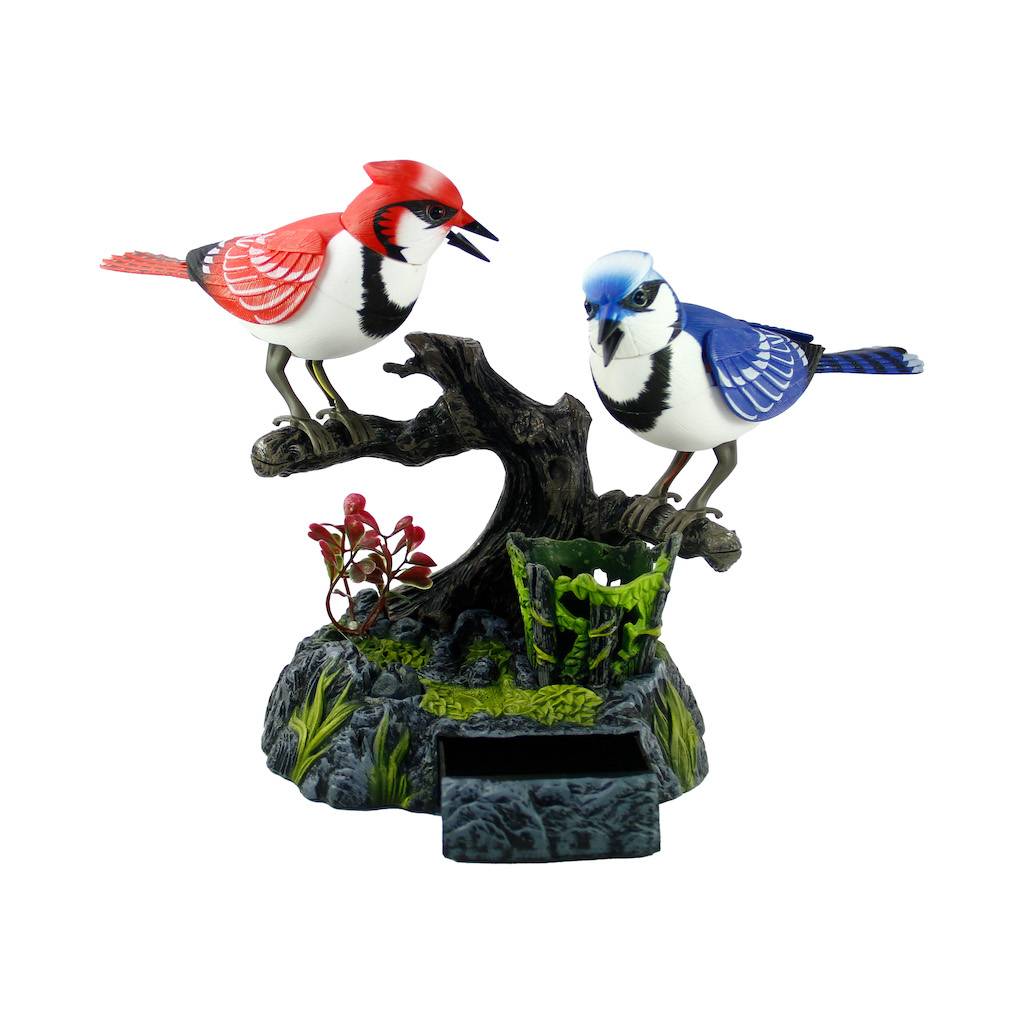 Kalemlikli İkili Kuş (Müzik Ve Kuş Sesli)