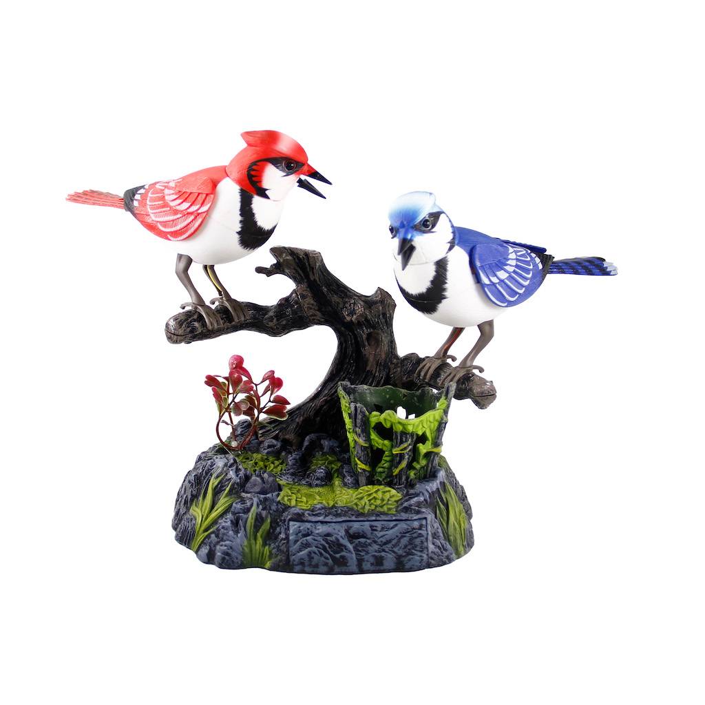 Kalemlikli İkili Kuş (Müzik Ve Kuş Sesli)