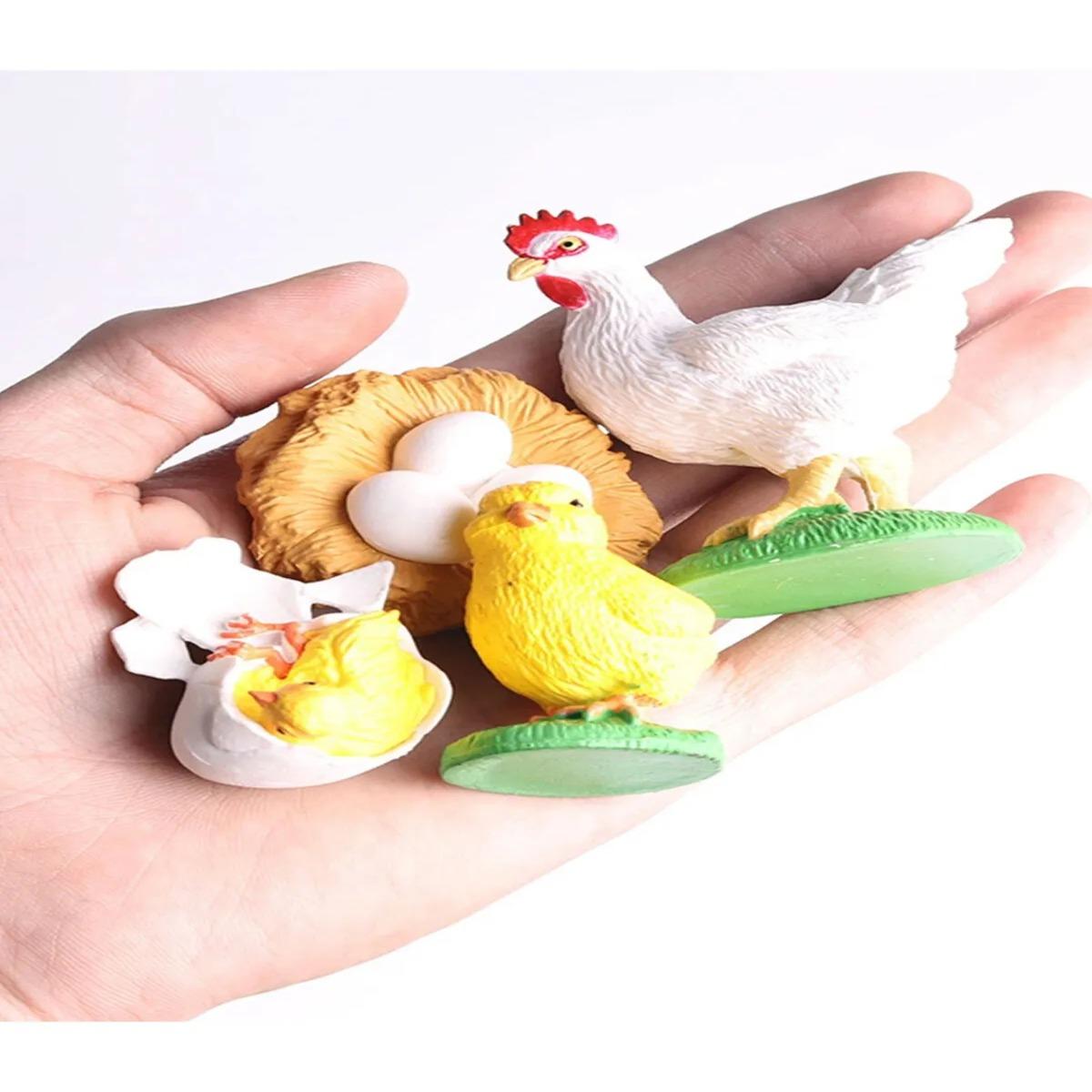 Horoz Büyüme Yaşam Döngüsü Hayvan Figür Seti