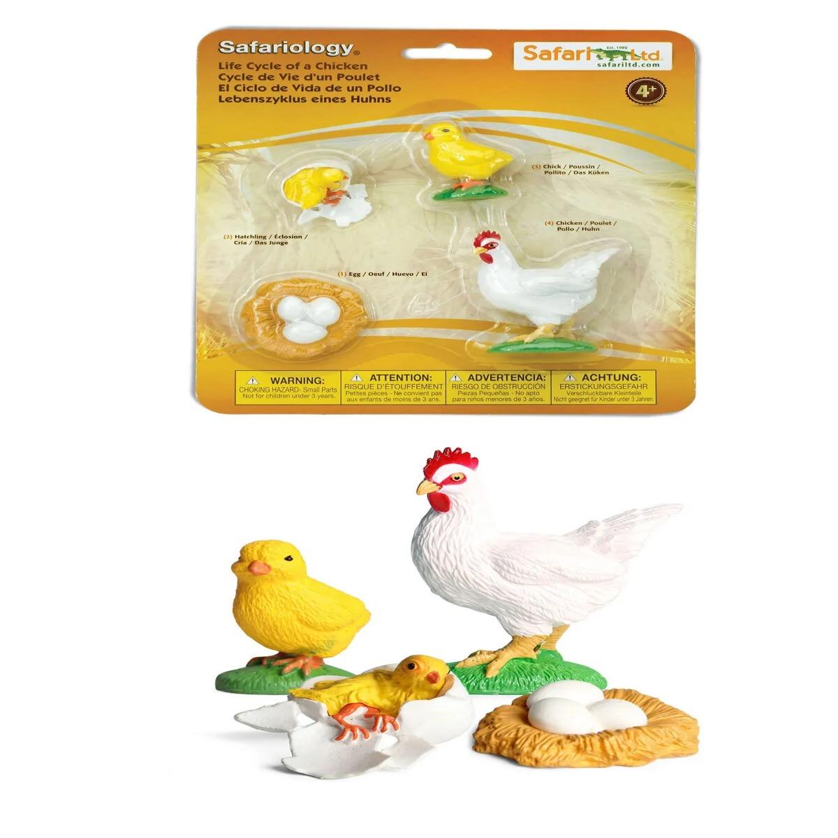 Horoz Büyüme Yaşam Döngüsü Hayvan Figür Seti