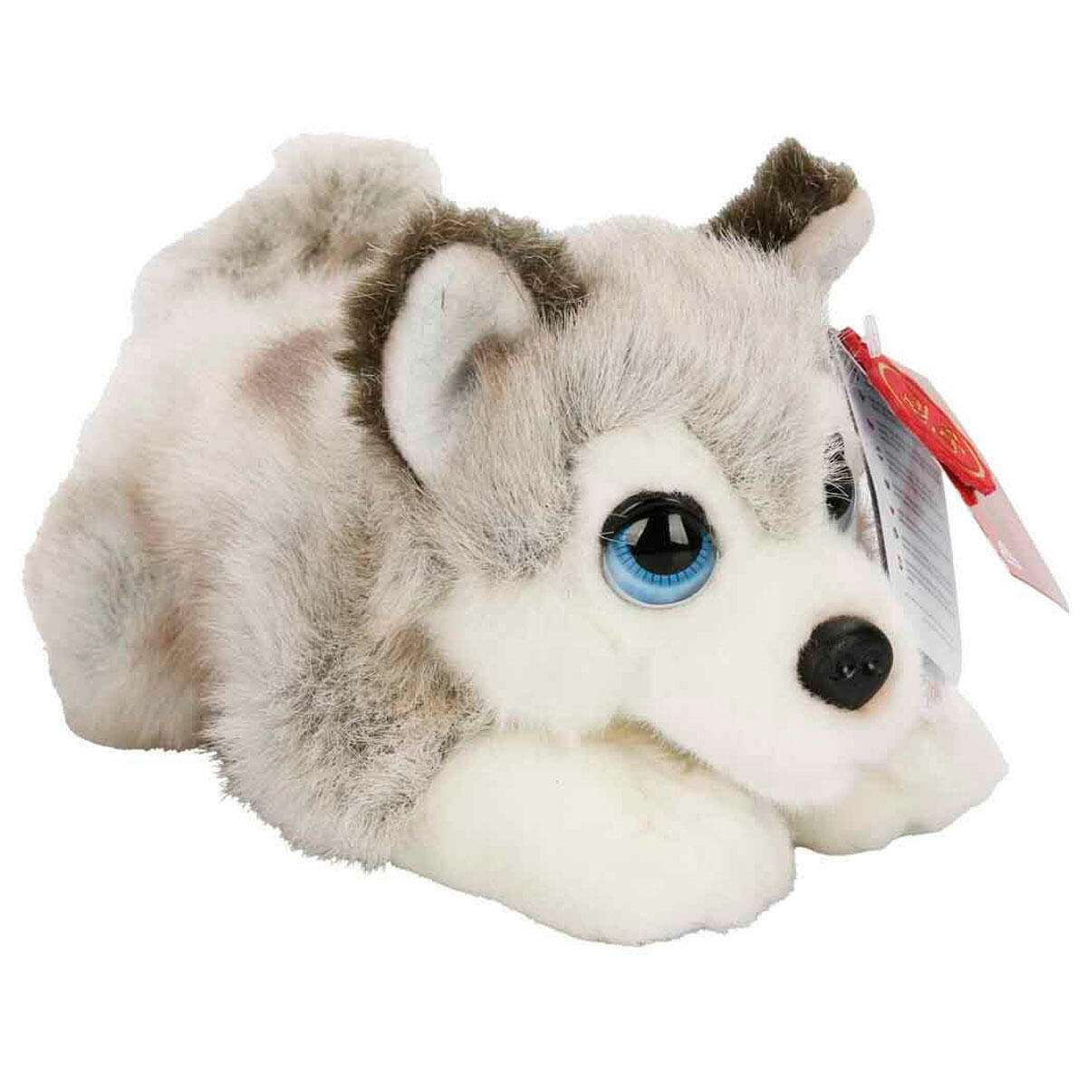 Husky Köpek Peluş 25 cm | Yumuşak Uyku Arkadaşı Köpek | Kaliteli Dolgulu ve Antialerjik Peluş Oyuncak