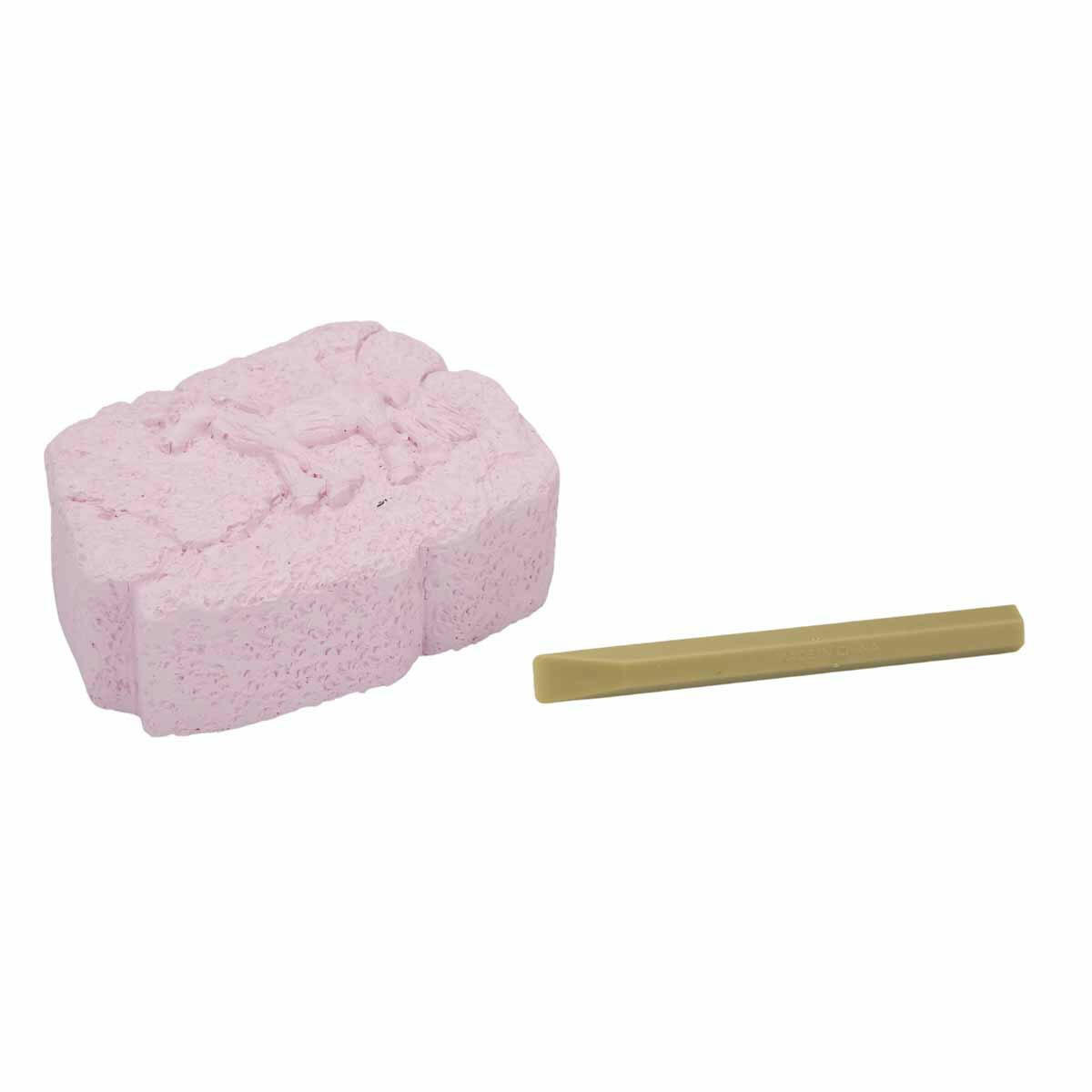 Karanlıkta Parlayan Unicorn Fosil Kazı Seti | Crazoo Eğitici Bilim ve Keşif Seti | Sihirli Fosforlu Unicorn Kazısı