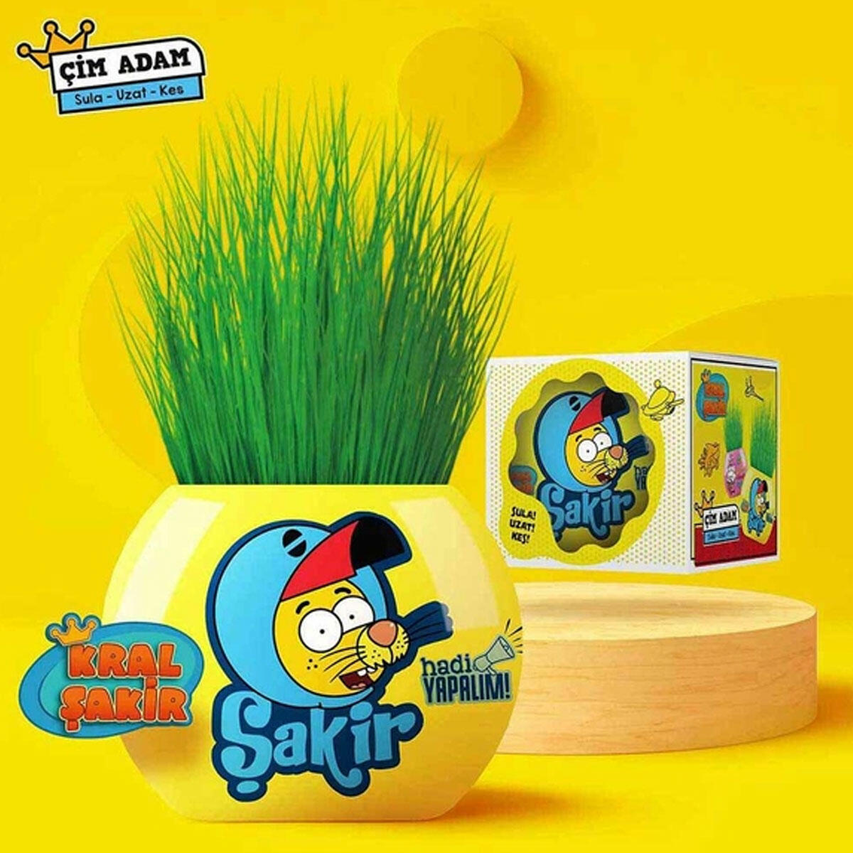 Kral Şakir Çim Adam – Eğlenceli ve Yaratıcı Çocuk Oyuncak Çim Seti