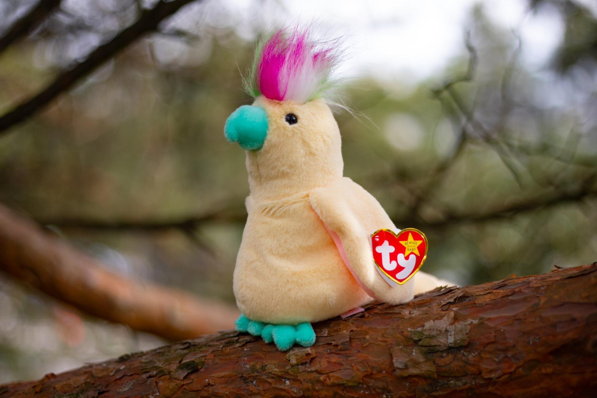 TY Beanie Boos Pompom Kakadu Papağan Peluş 20 cm