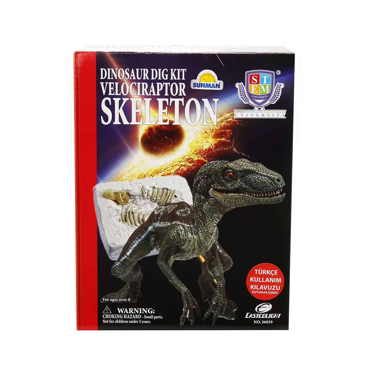 Dinozor Kazma Kiti Velociraptor İskeleti