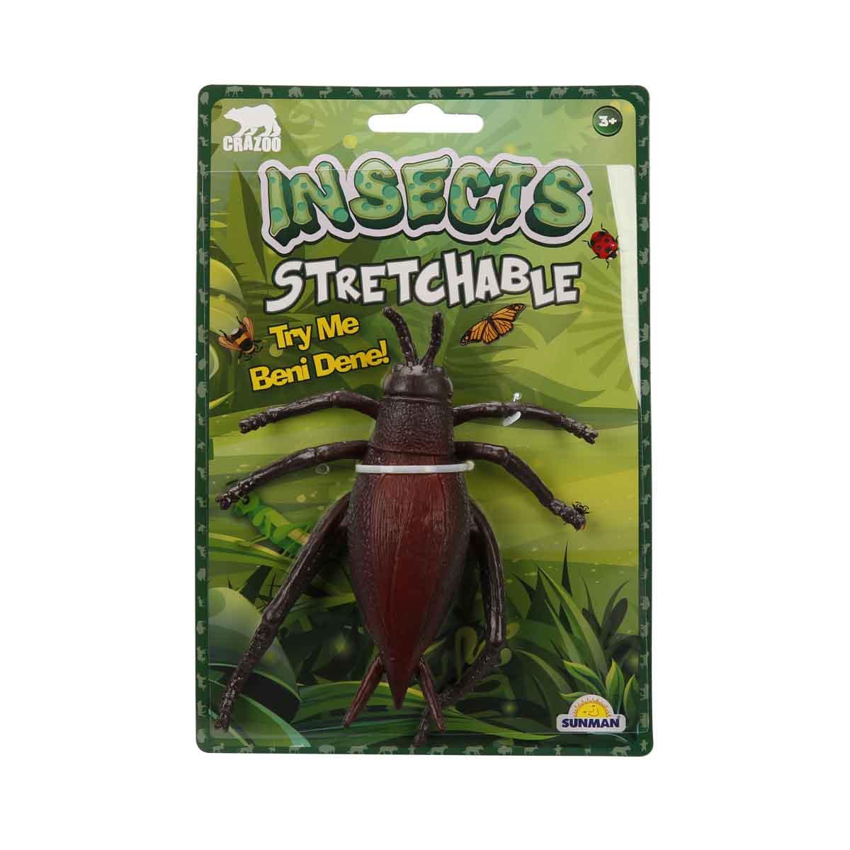 Streç Uzayan Böcek Serisi - Yeşil Çekirge Peygamber Devesi Sinek Arı Hamam Böceği ve Kalorifer Böceği