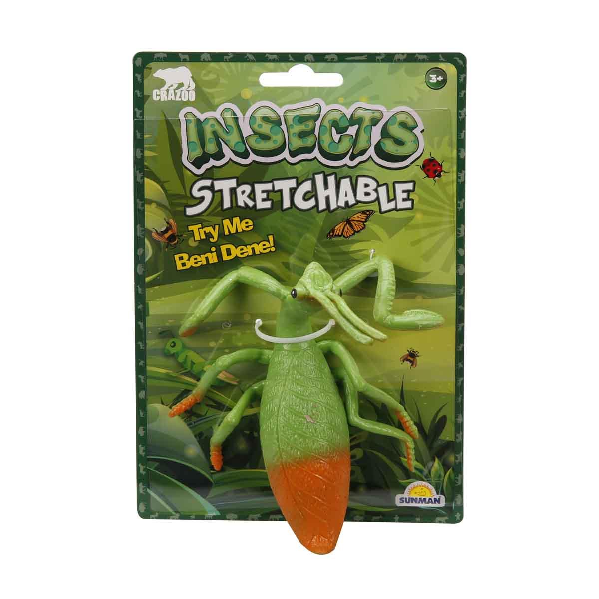 Streç Uzayan Böcek Serisi - Yeşil Çekirge Peygamber Devesi Sinek Arı Hamam Böceği ve Kalorifer Böceği