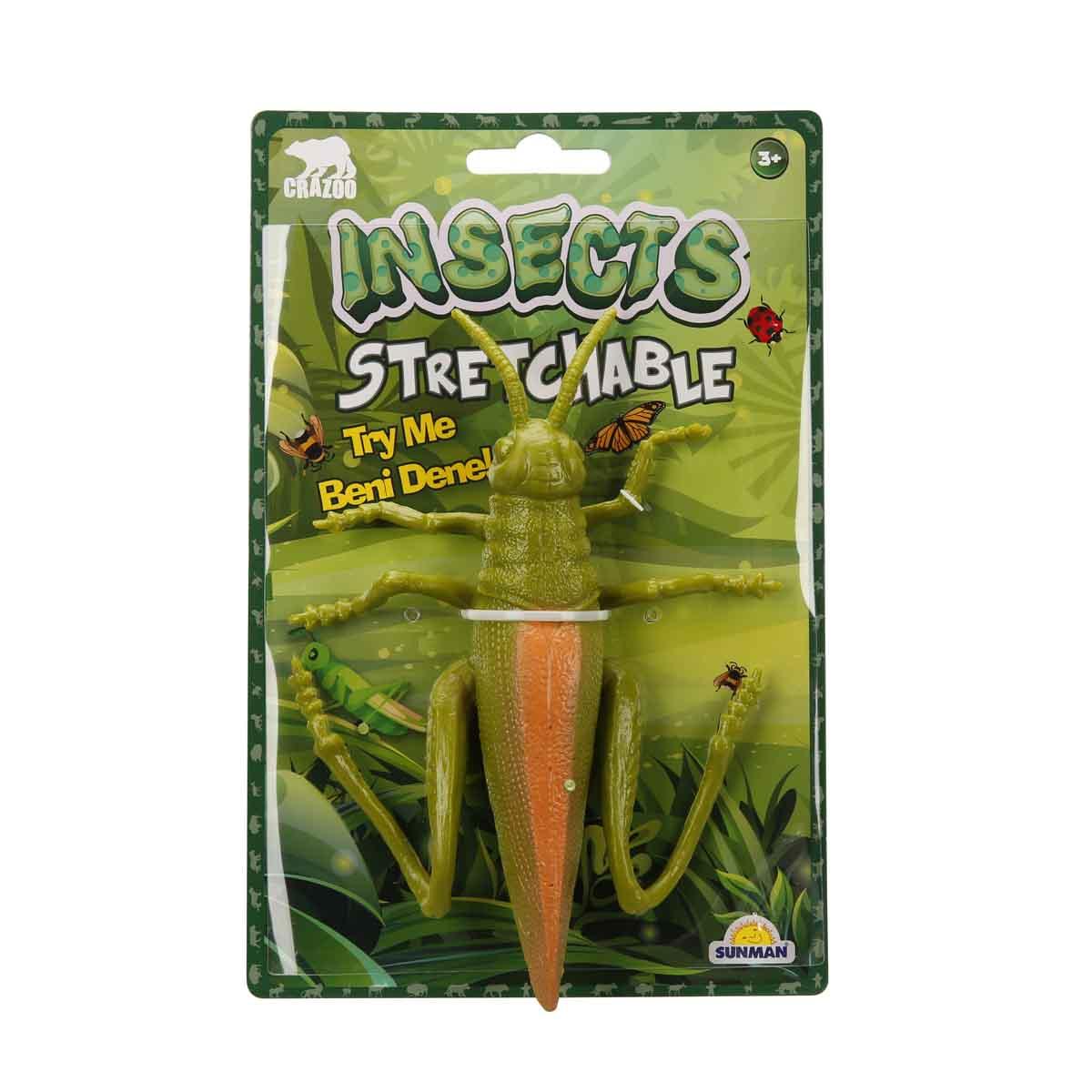 Streç Uzayan Böcek Serisi - Yeşil Çekirge Peygamber Devesi Sinek Arı Hamam Böceği ve Kalorifer Böceği