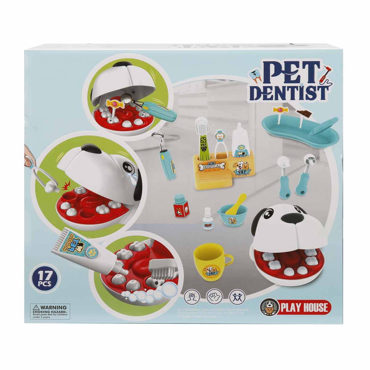 Veteriner Diş Hekimi Seti 17 Parça