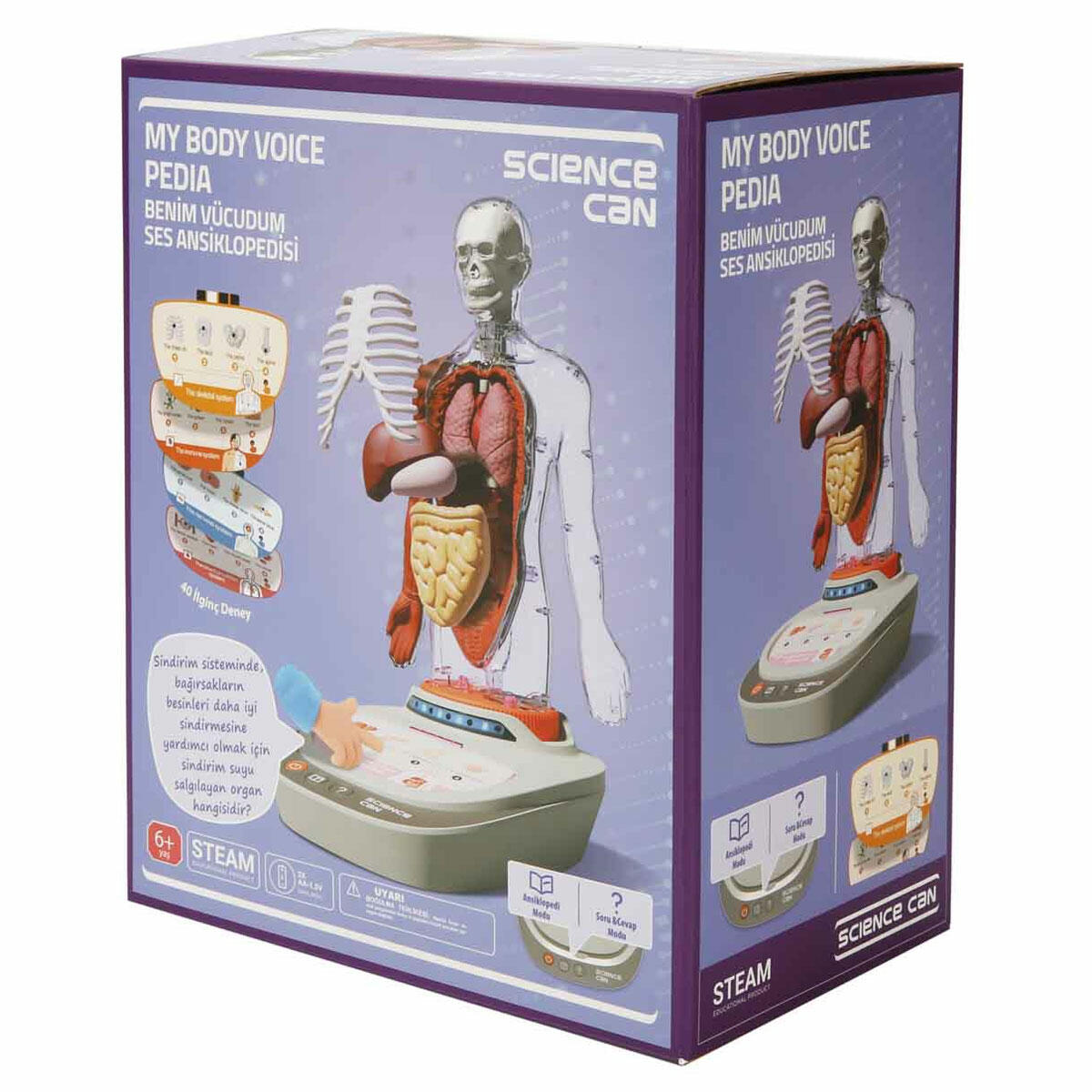 Topbright 23 Parça İnsan Vücudu Modeli | Türkçe Sesli Anlatımlı Anatomi Seti | Çıkarılabilir Organlı Eğitici Manken