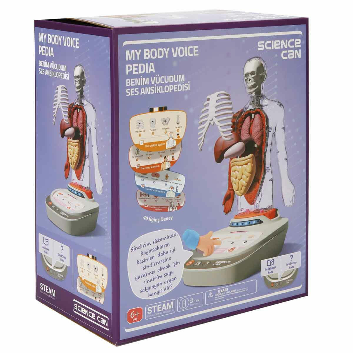 Topbright 23 Parça İnsan Vücudu Modeli | Türkçe Sesli Anlatımlı Anatomi Seti | Çıkarılabilir Organlı Eğitici Manken