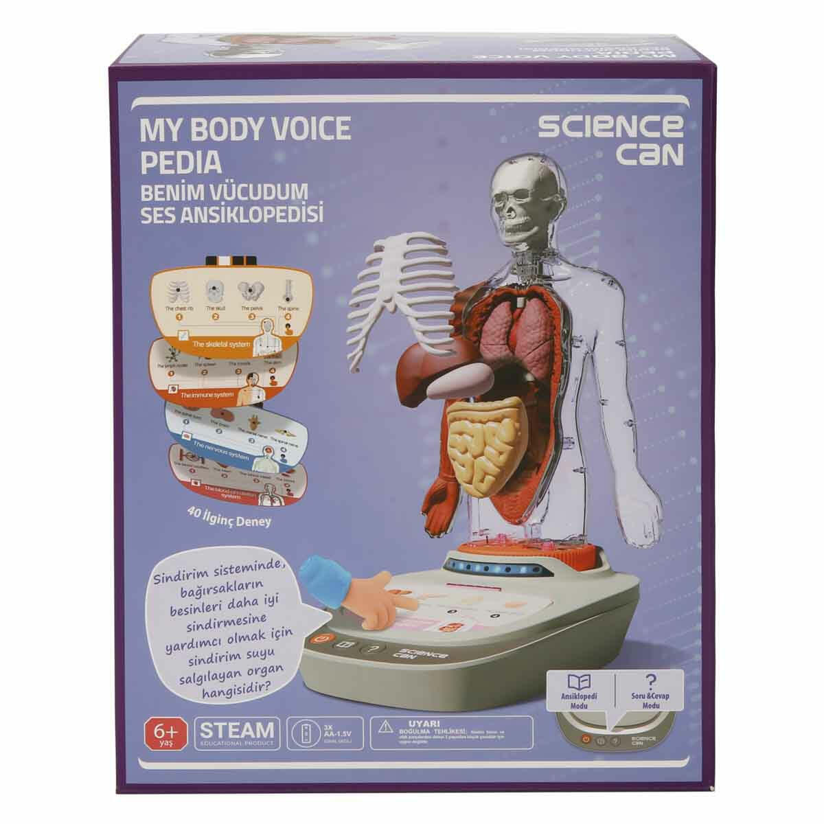 Topbright 23 Parça İnsan Vücudu Modeli | Türkçe Sesli Anlatımlı Anatomi Seti | Çıkarılabilir Organlı Eğitici Manken