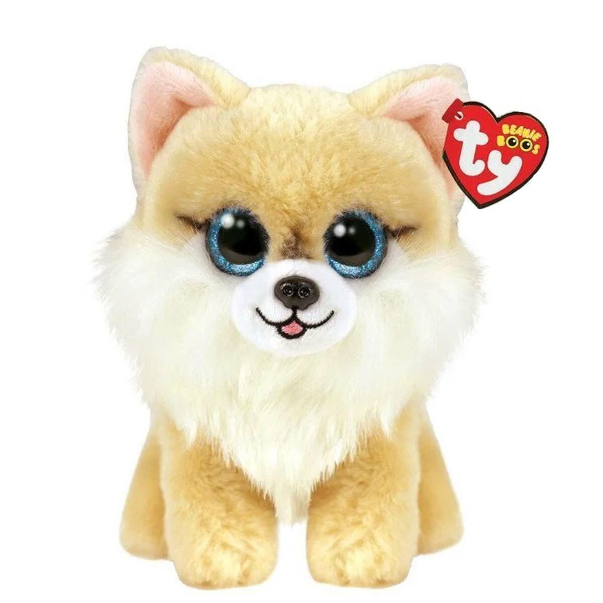 TY Beanie Boos Corgi Köpek Honeycomb 15 cm | Işıltılı Gözlü Yumuşak Peluş Köpek | Orijinal TY Koleksiyonu